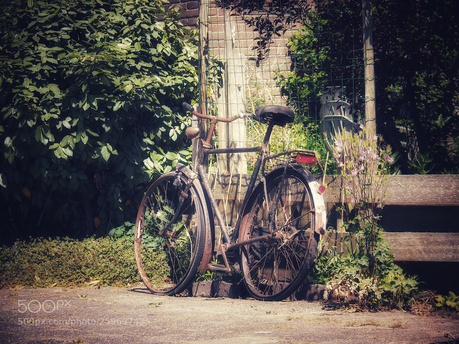 Olympus OM-D E-M1 sample photo. Bike
 photography
