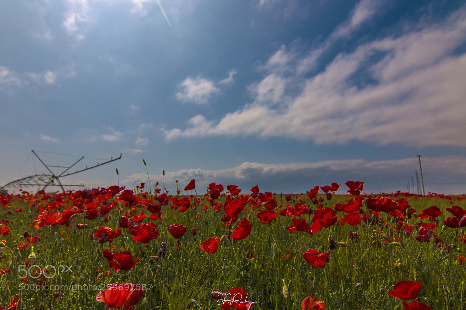 Canon EOS 70D sample photo. Untitled photography