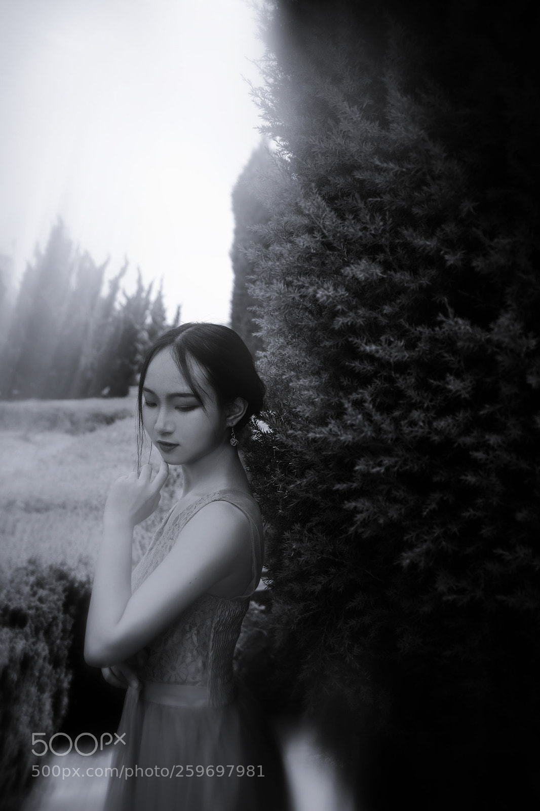 Fujifilm GFX 50S sample photo. Untitled photography
