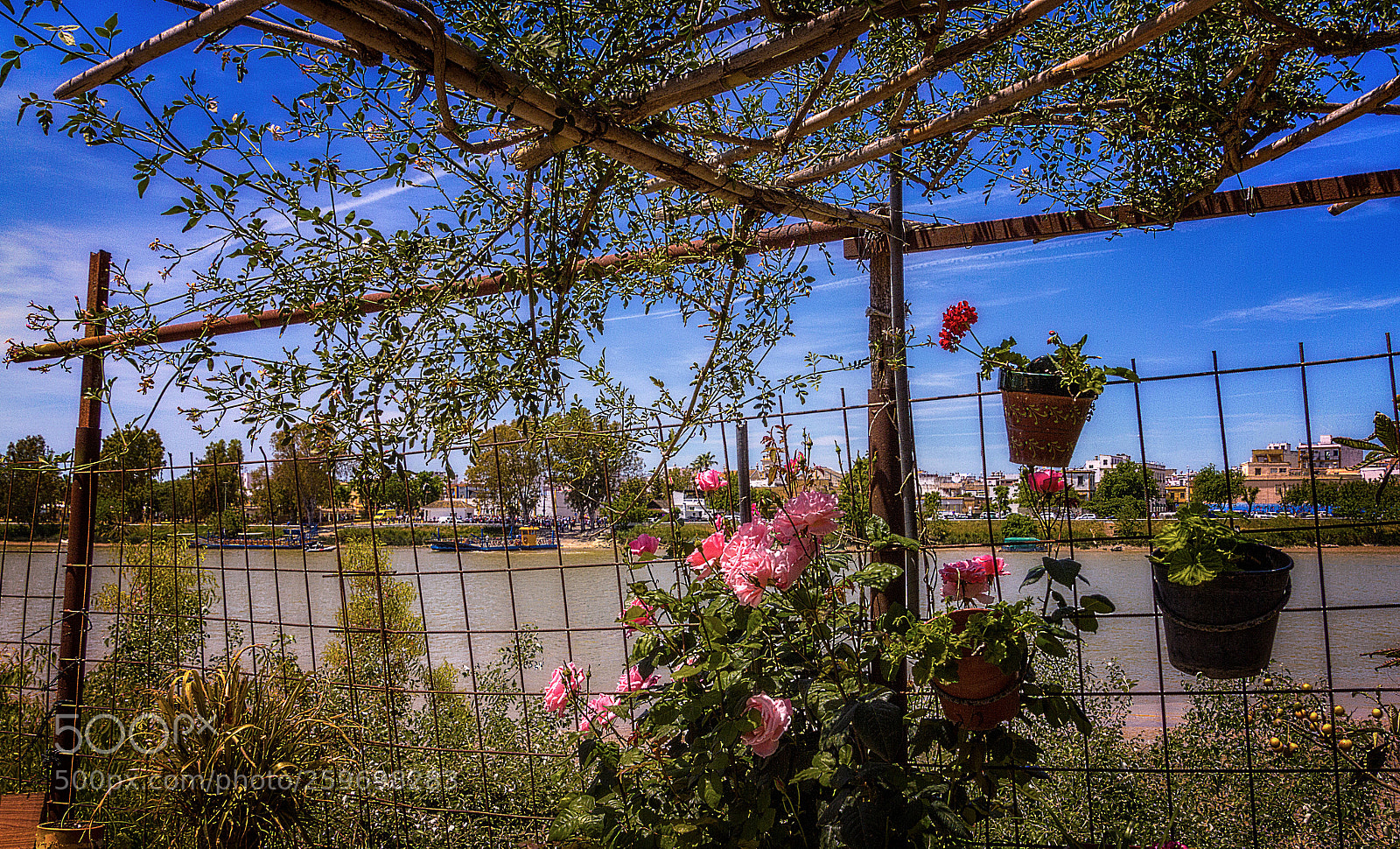 Canon EOS 550D (EOS Rebel T2i / EOS Kiss X4) sample photo. Terraza al guadalquivir photography