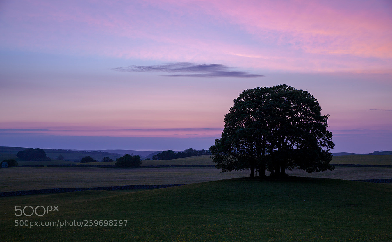 Canon EOS 5D Mark II sample photo. Morning light near malham photography