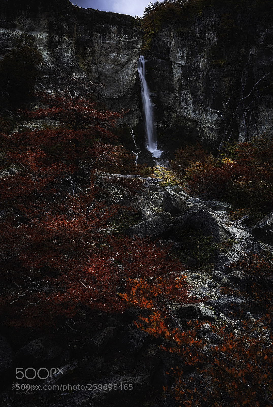 Sony a7R III sample photo. Chirrillo del salto photography