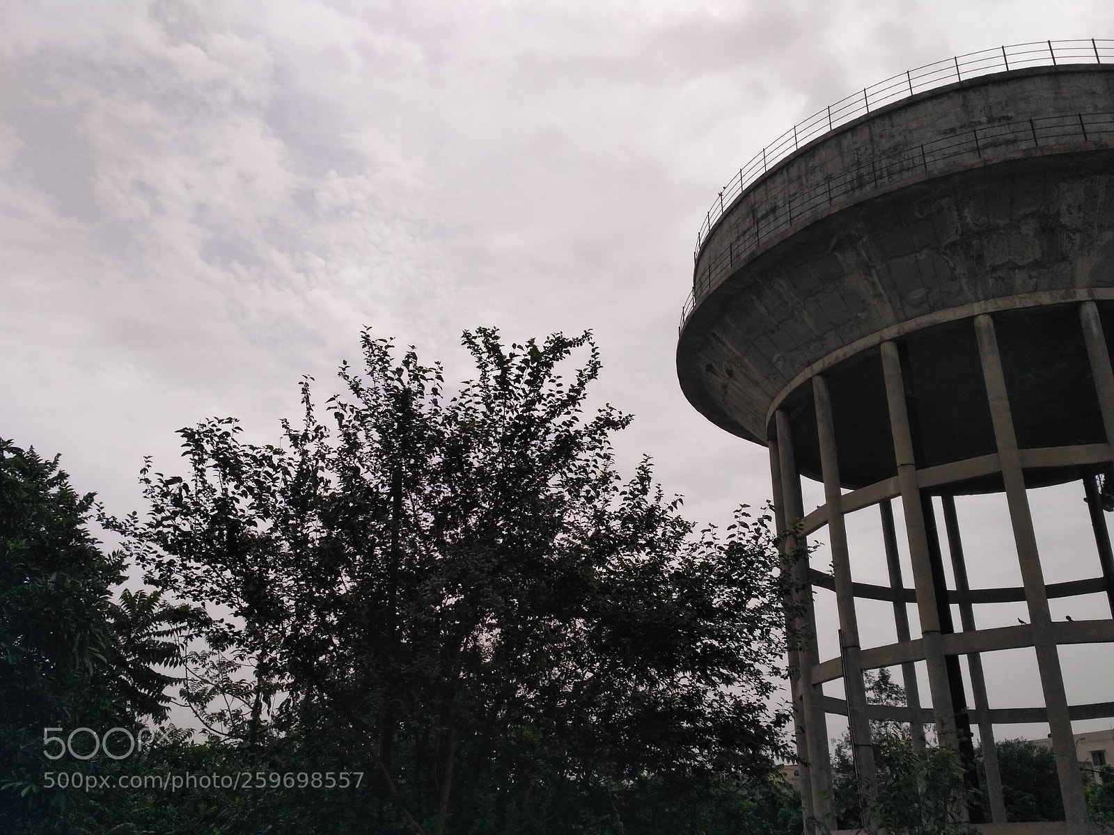 Xiaomi Redmi 3S sample photo. Clouds speaking photography