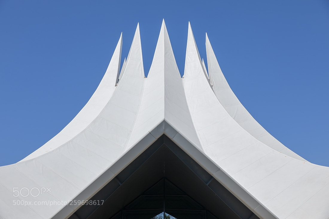 Canon EOS 5D Mark IV sample photo. Crown photography