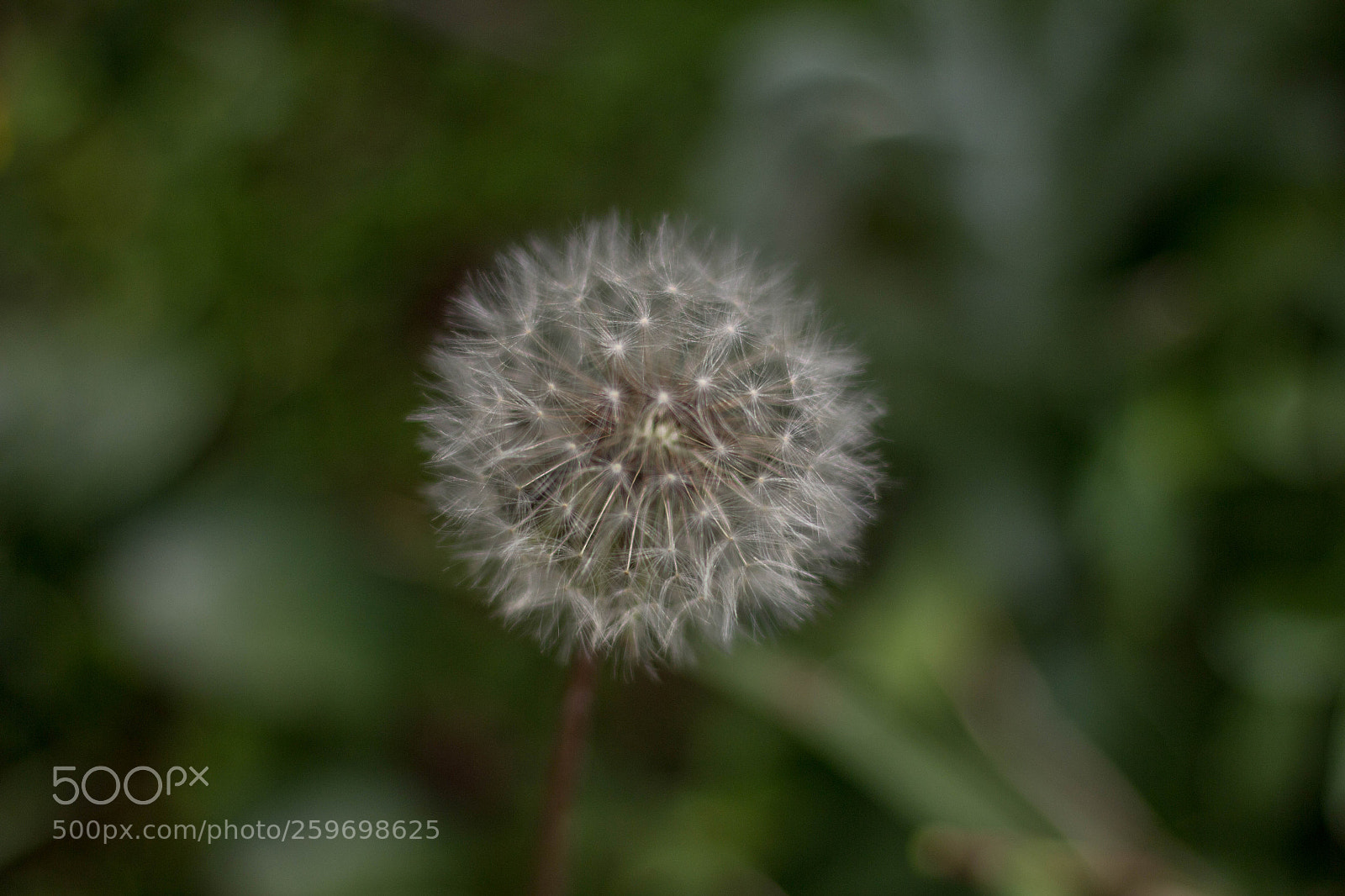 Canon EOS 60D sample photo. Untitled photography