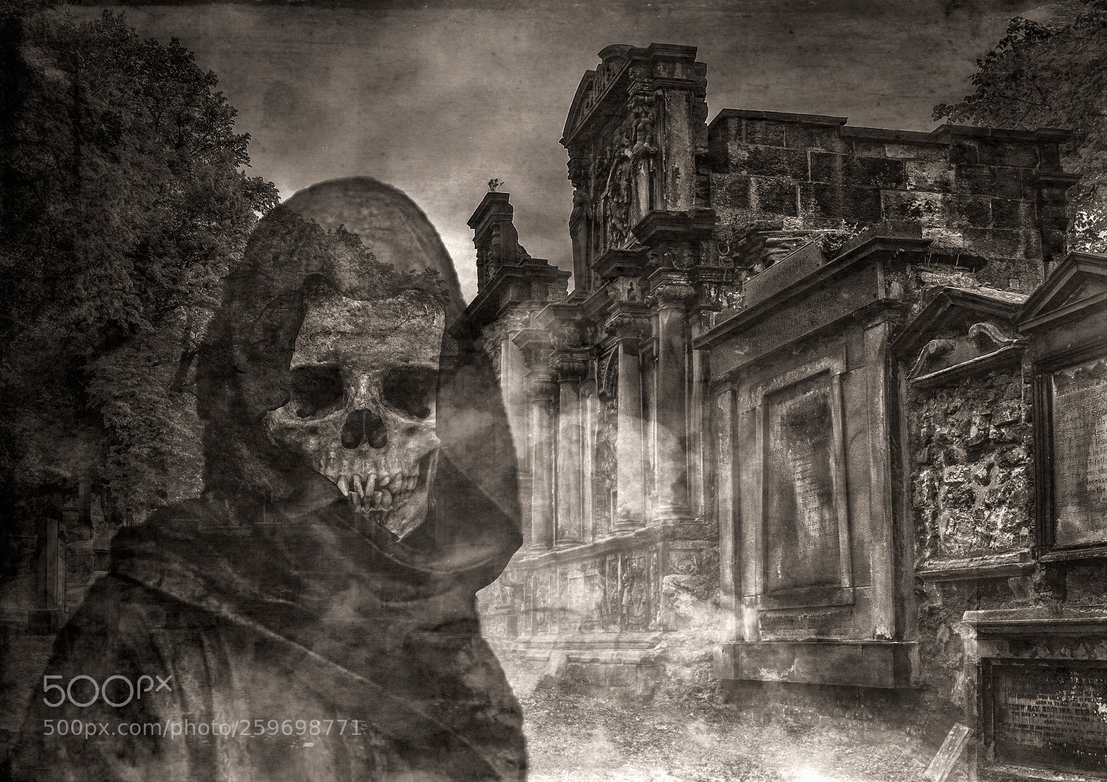 Nikon D7100 sample photo. Angel of death photography