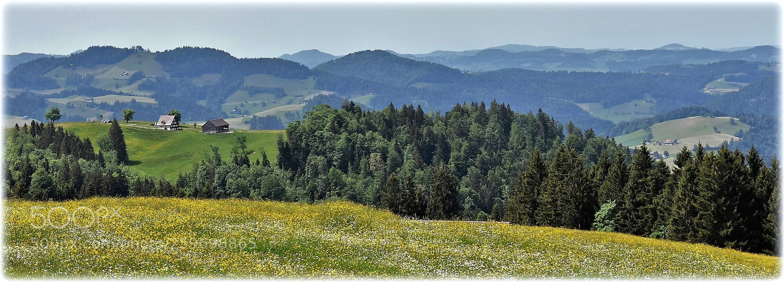 Nikon D7200 sample photo. "the land" photography