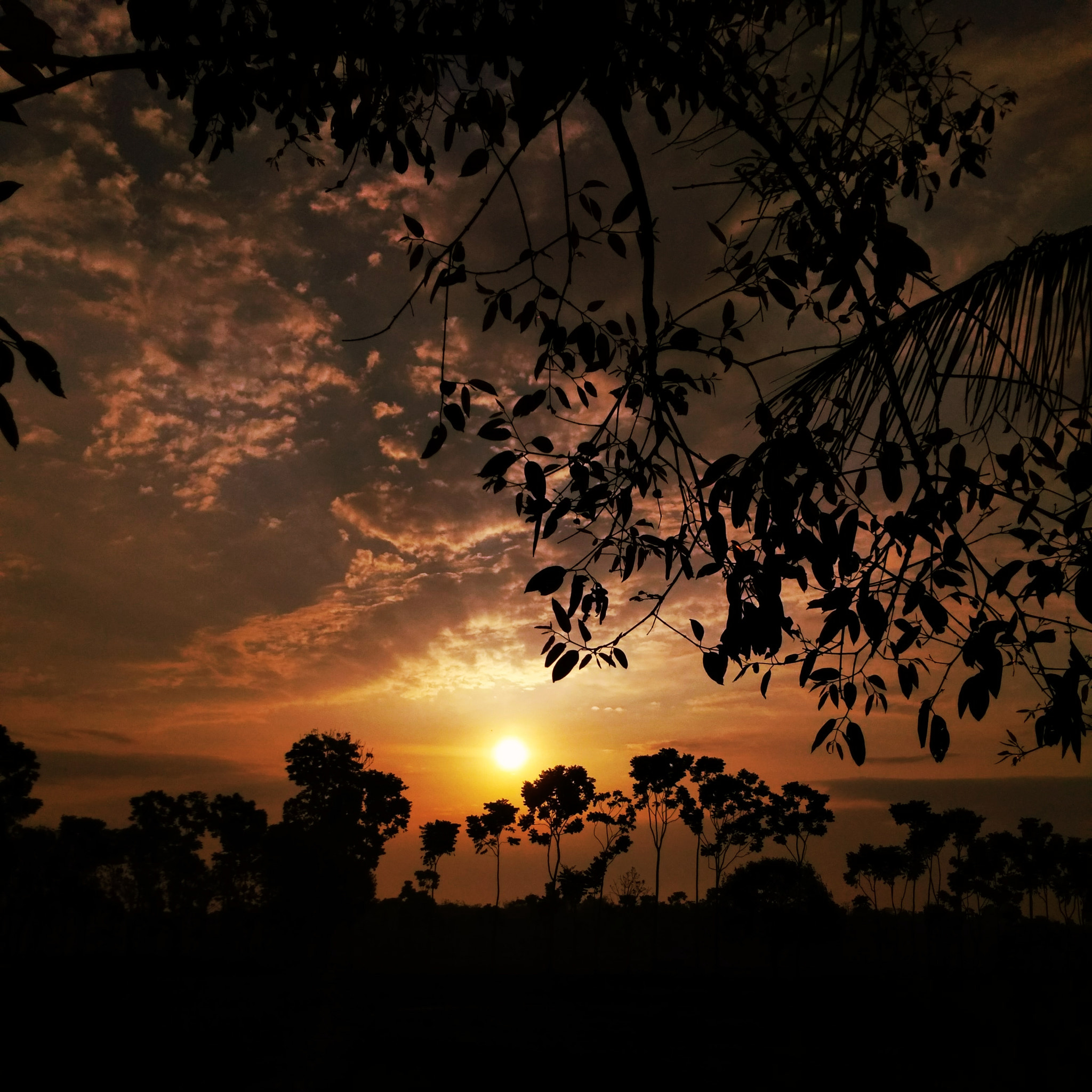 Xiaomi Redmi 4A sample photo. Sun photography