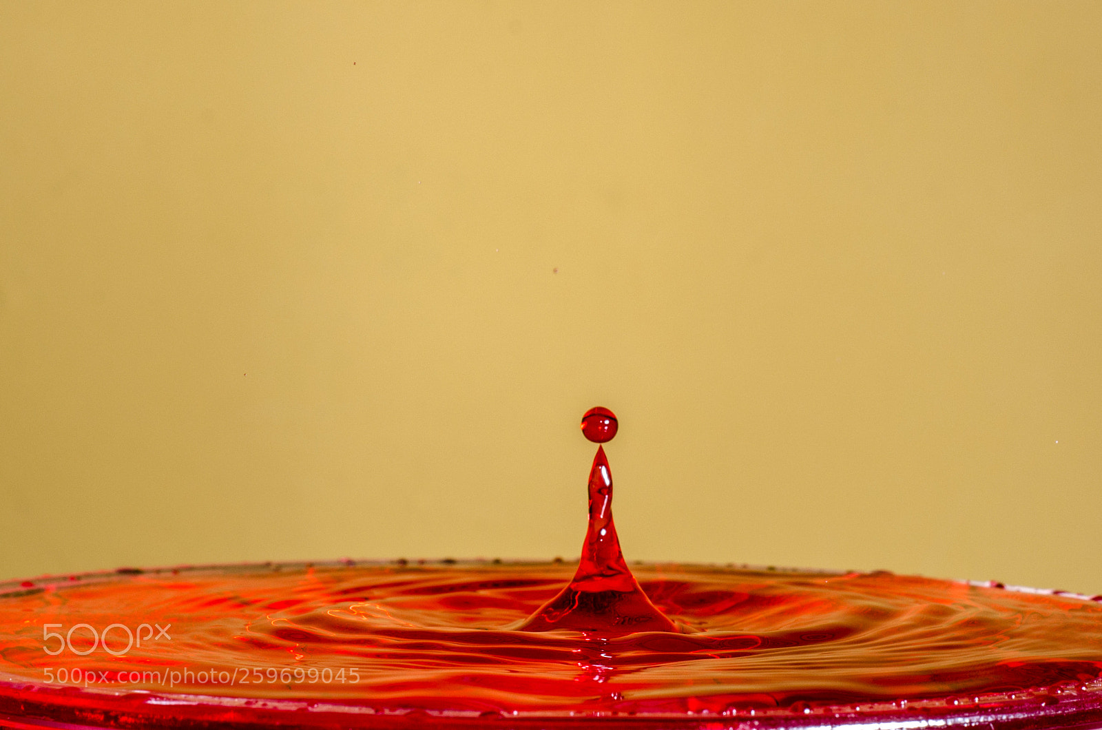 Nikon D5100 sample photo. Droplet photography