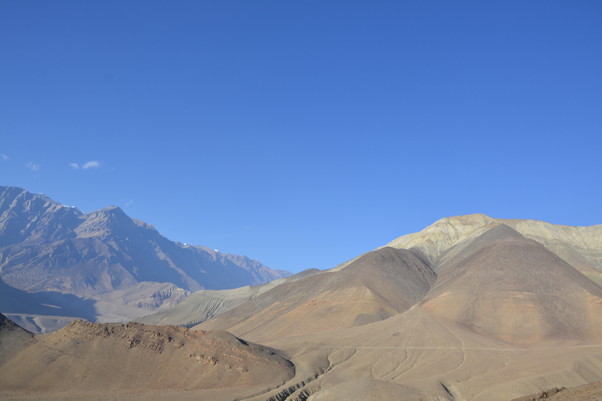 Nikon D3100 sample photo. Mustang photography