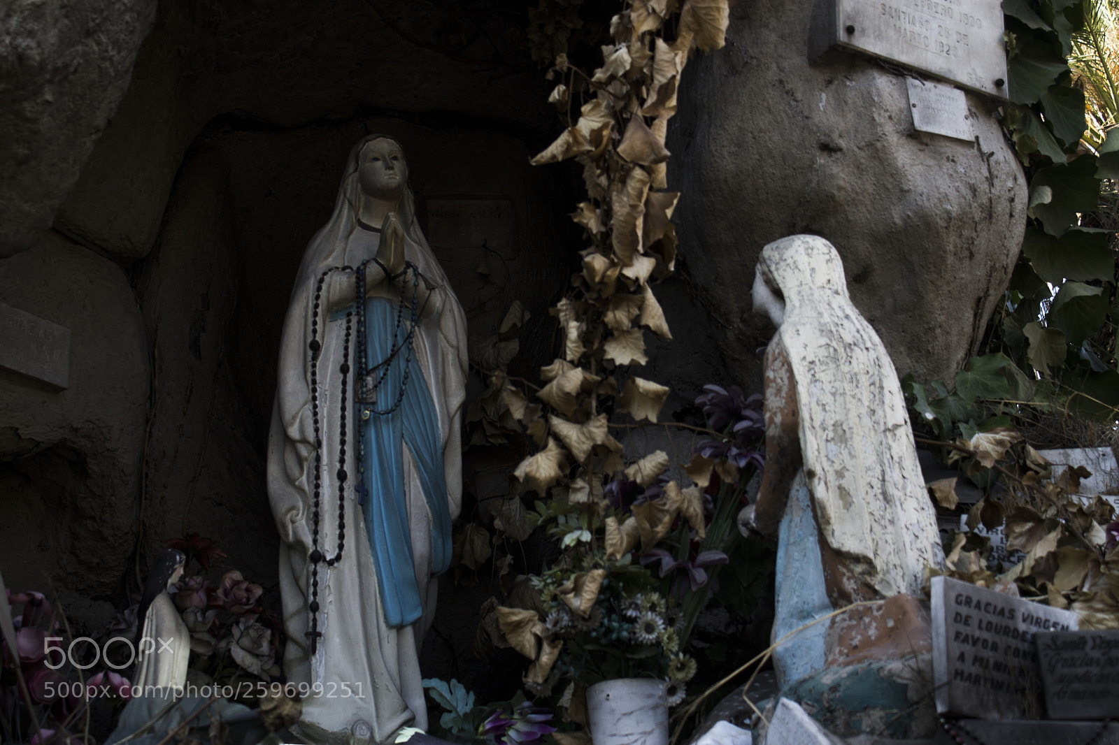 Canon EOS 1100D (EOS Rebel T3 / EOS Kiss X50) sample photo. Virgen photography