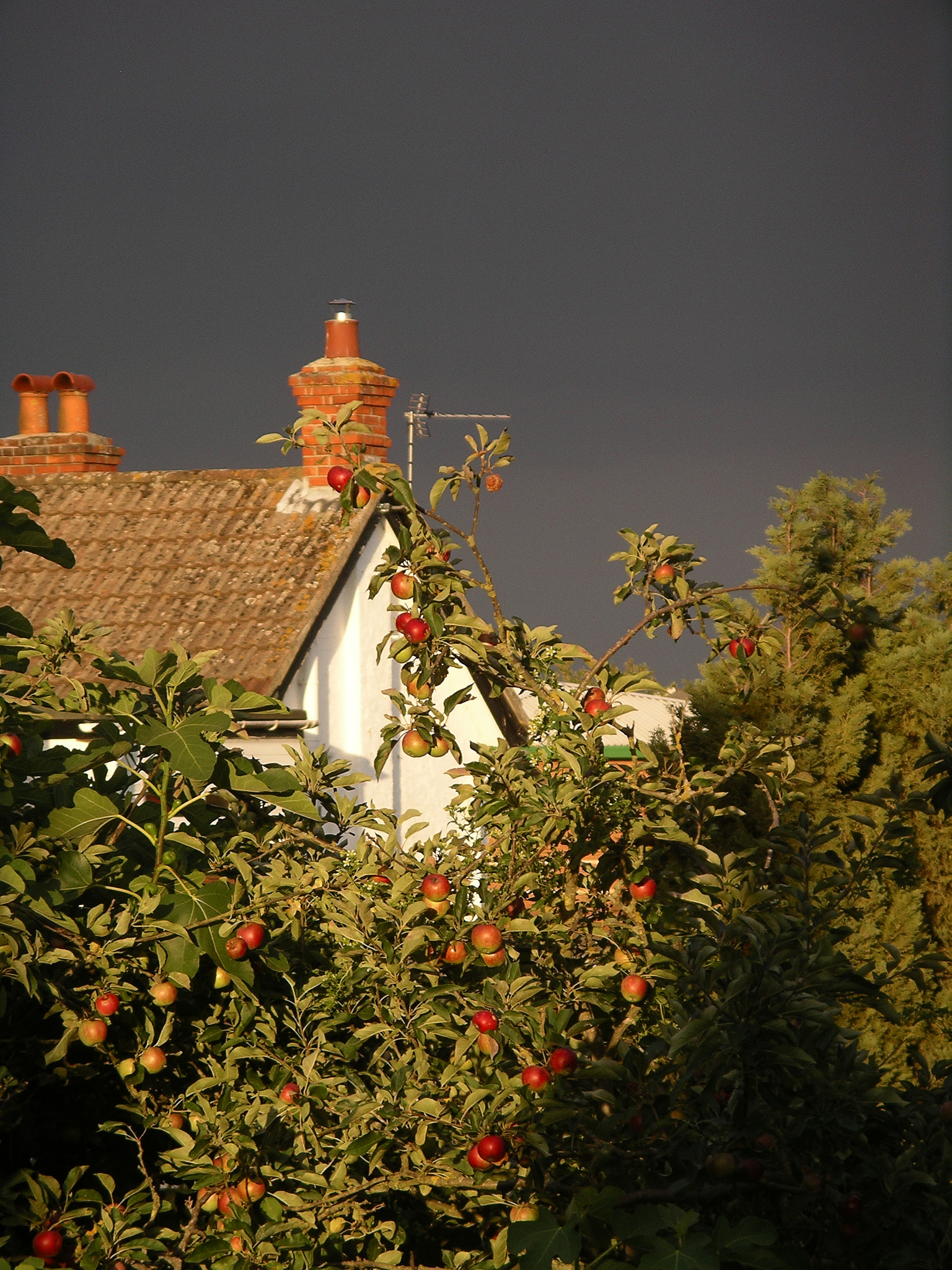 Pentax OPTIO 550 sample photo. Sun and dark photography
