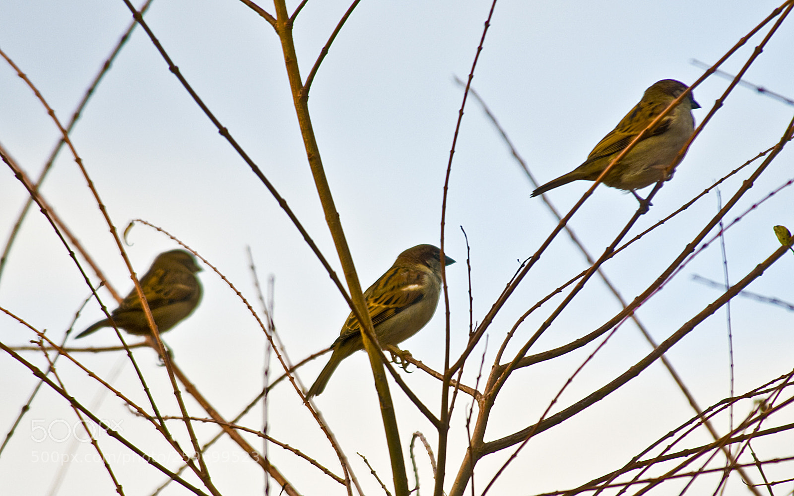 Nikon D300 sample photo. To make the most photography