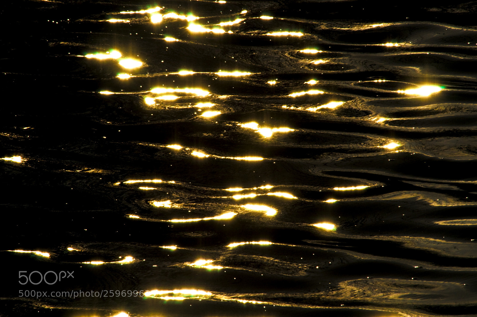 Nikon D300 sample photo. Waves at bough beech photography