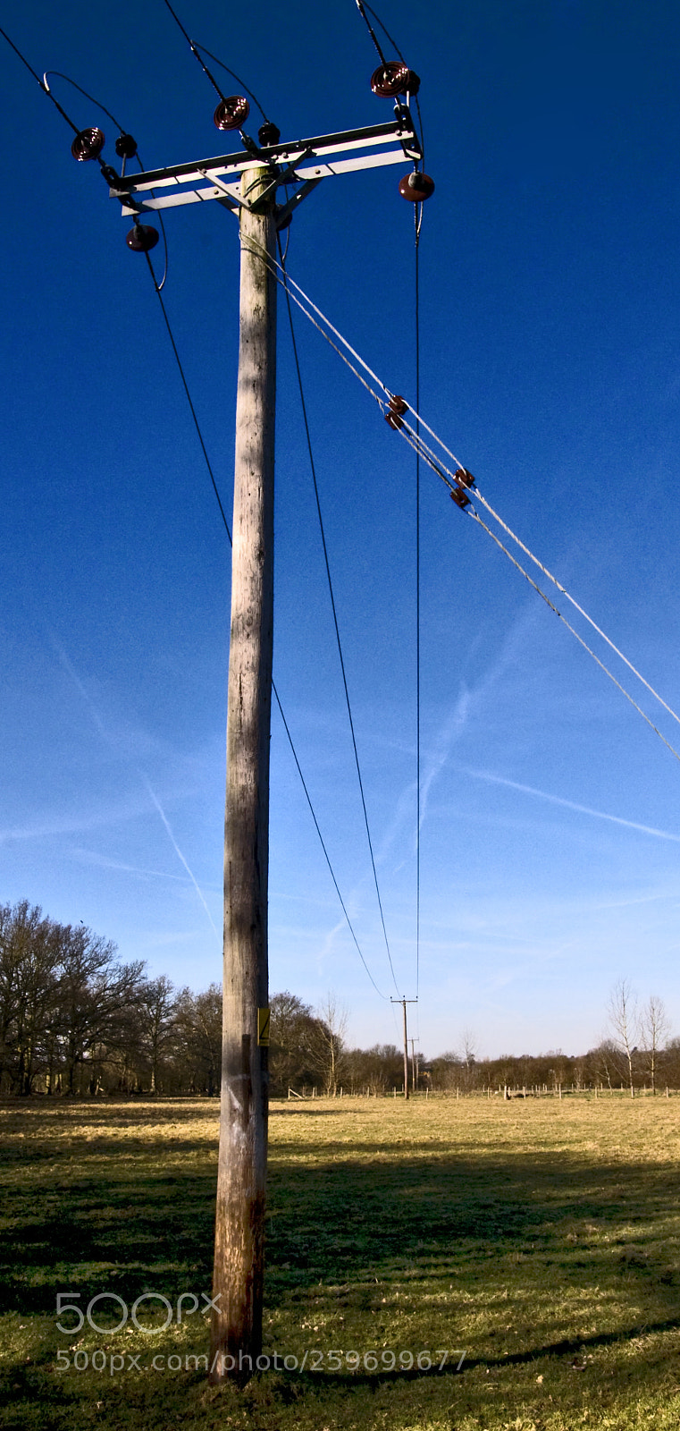 Nikon D300 sample photo. Wires in a field photography