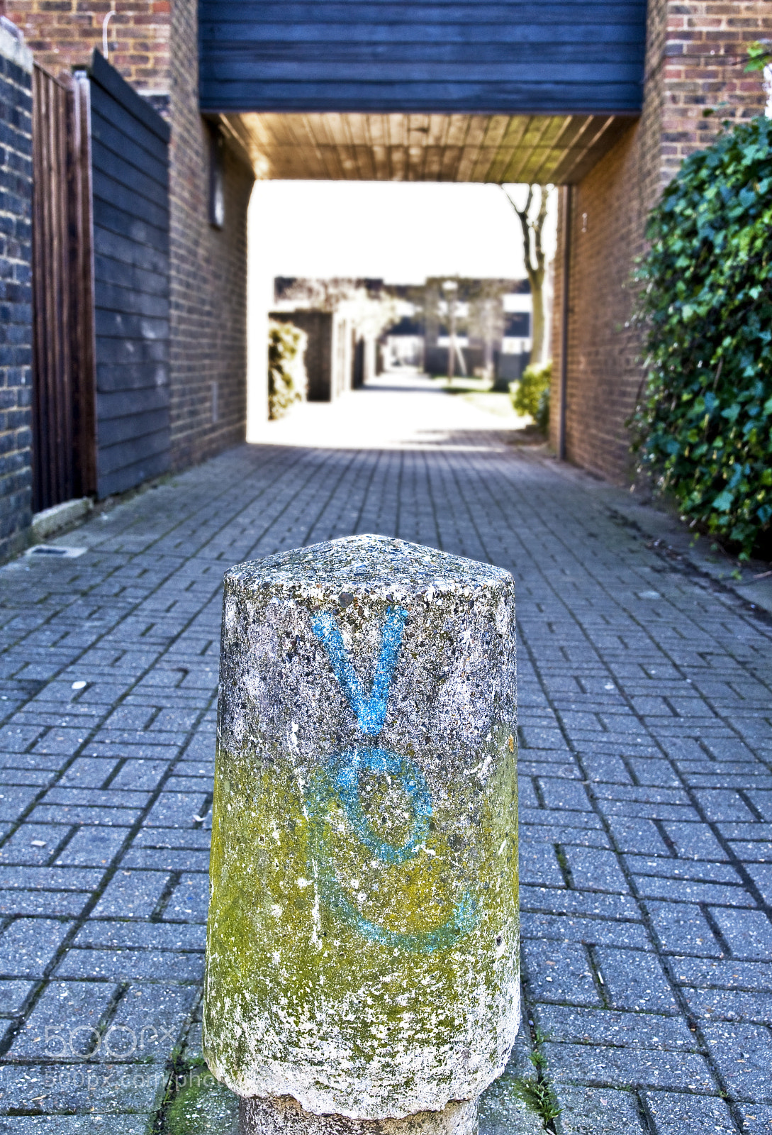 Nikon D300 sample photo. Along the estate photography