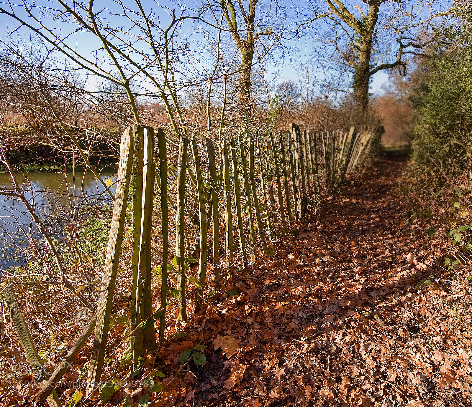 Nikon D50 sample photo. Along the path photography