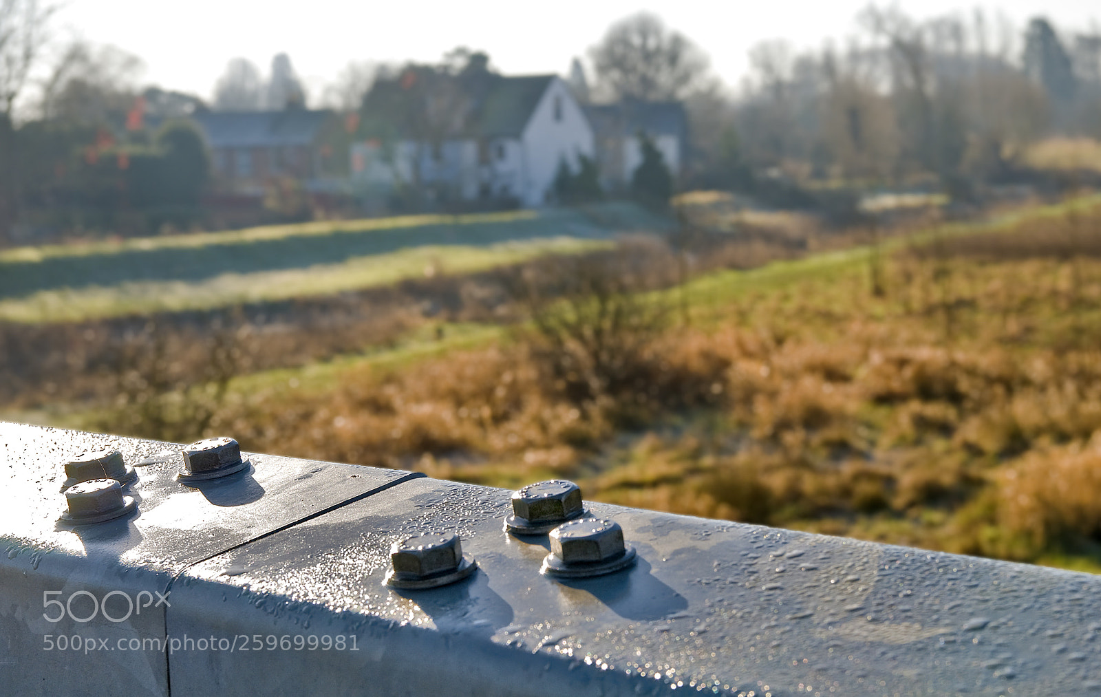 Nikon D300 sample photo. Bolts photography