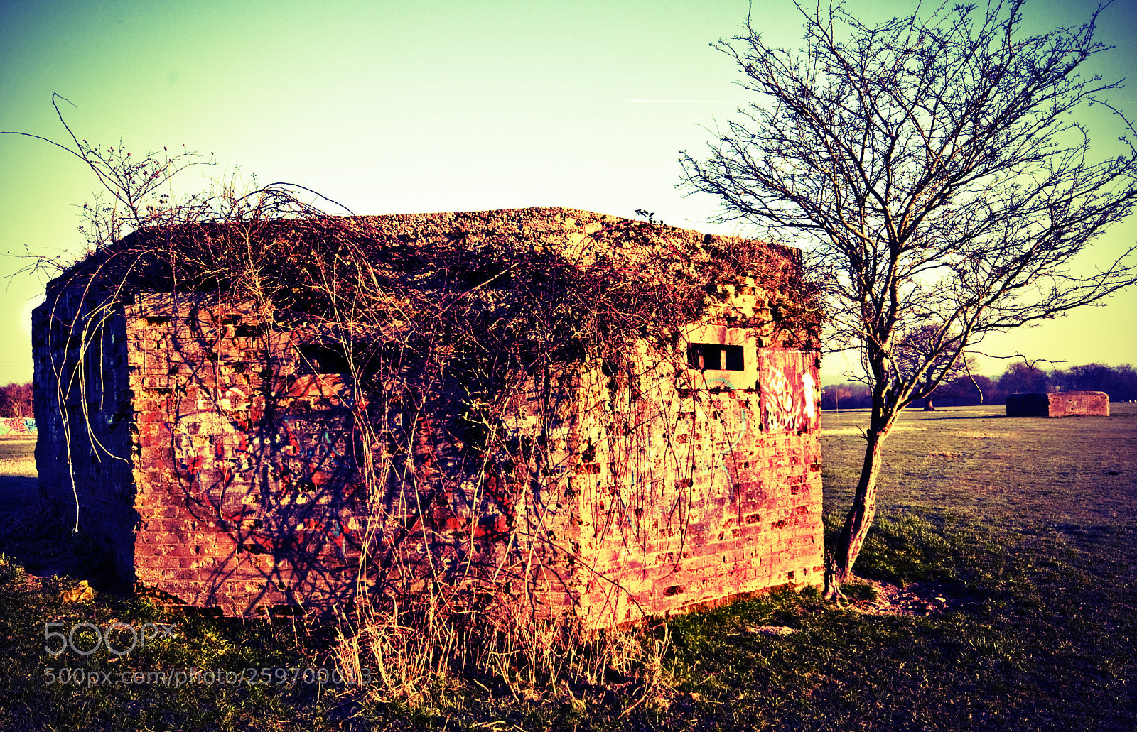 Nikon D300 sample photo. Bunker photography