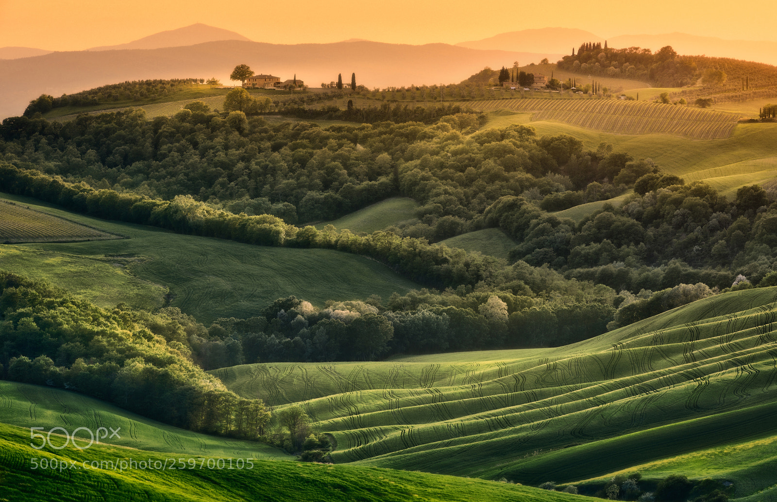 Nikon D810 sample photo. Games of hills photography