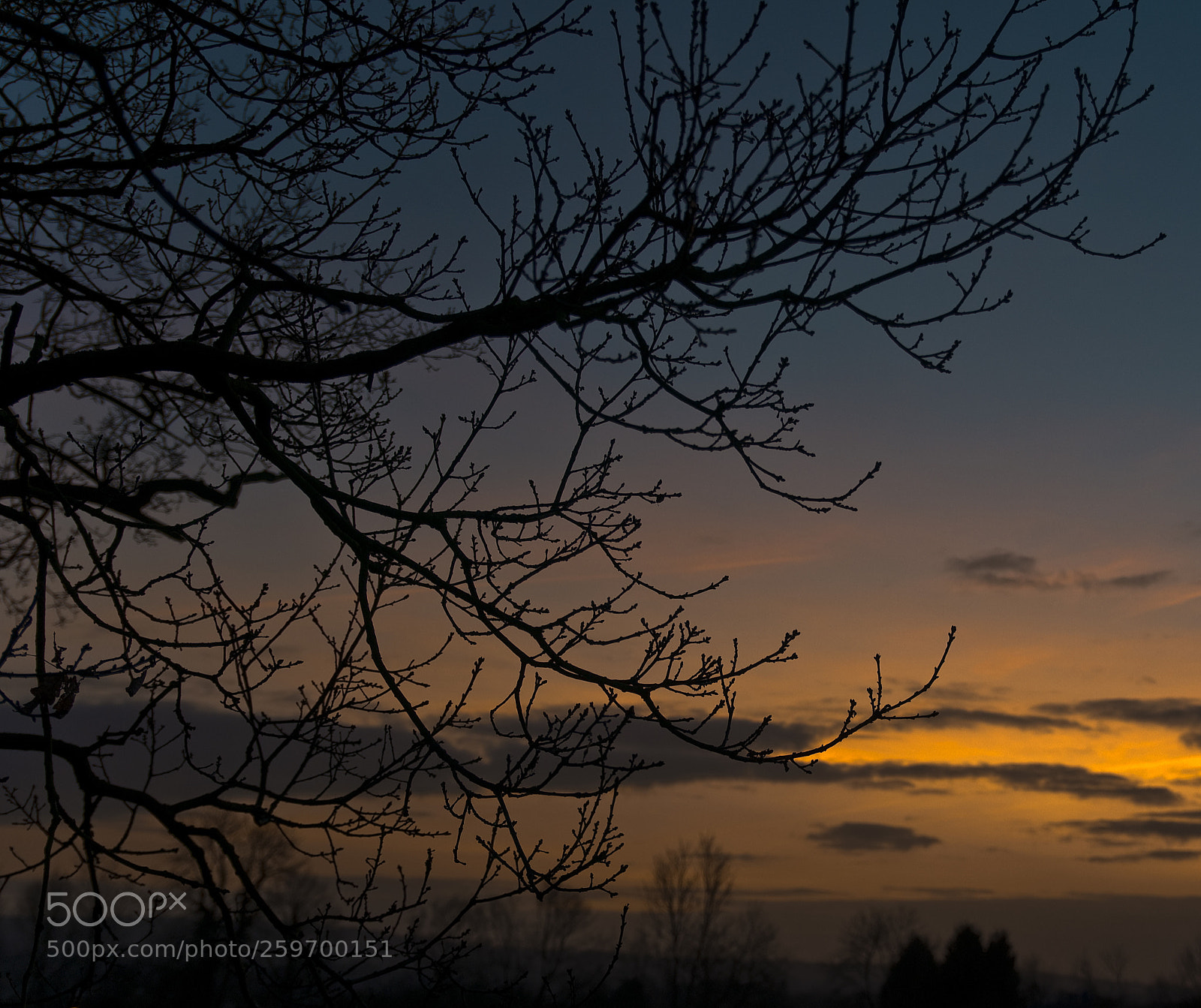 Nikon D300 sample photo. Dark sunset photography