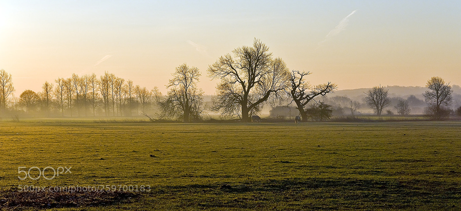 Nikon D300 sample photo. Early morning shot photography