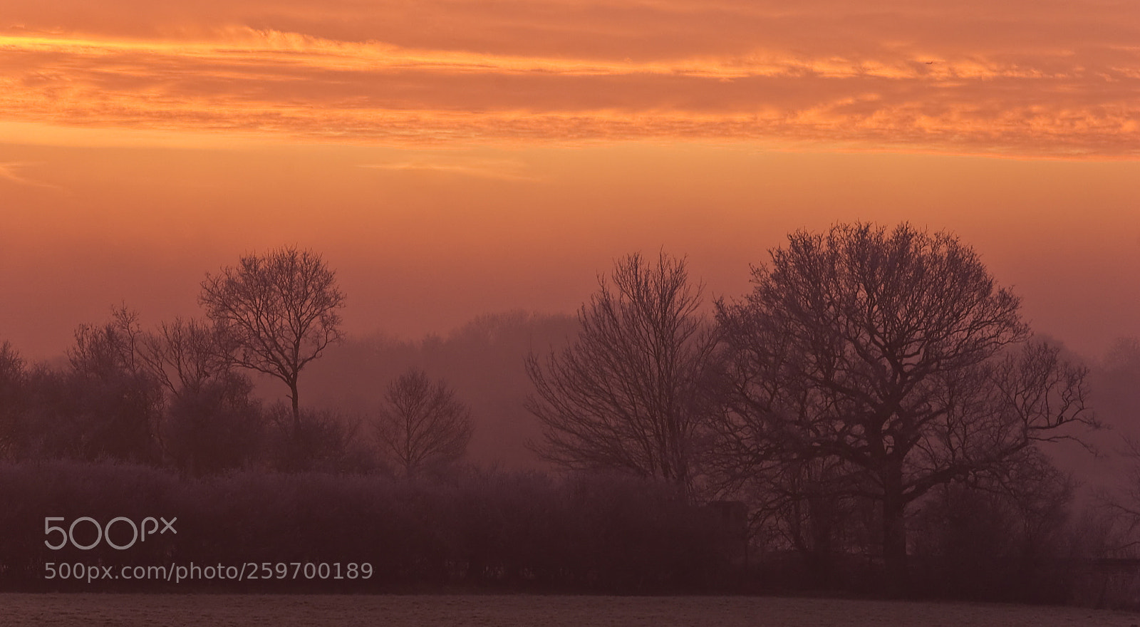 Nikon D50 sample photo. Edenbridge sunrise photography
