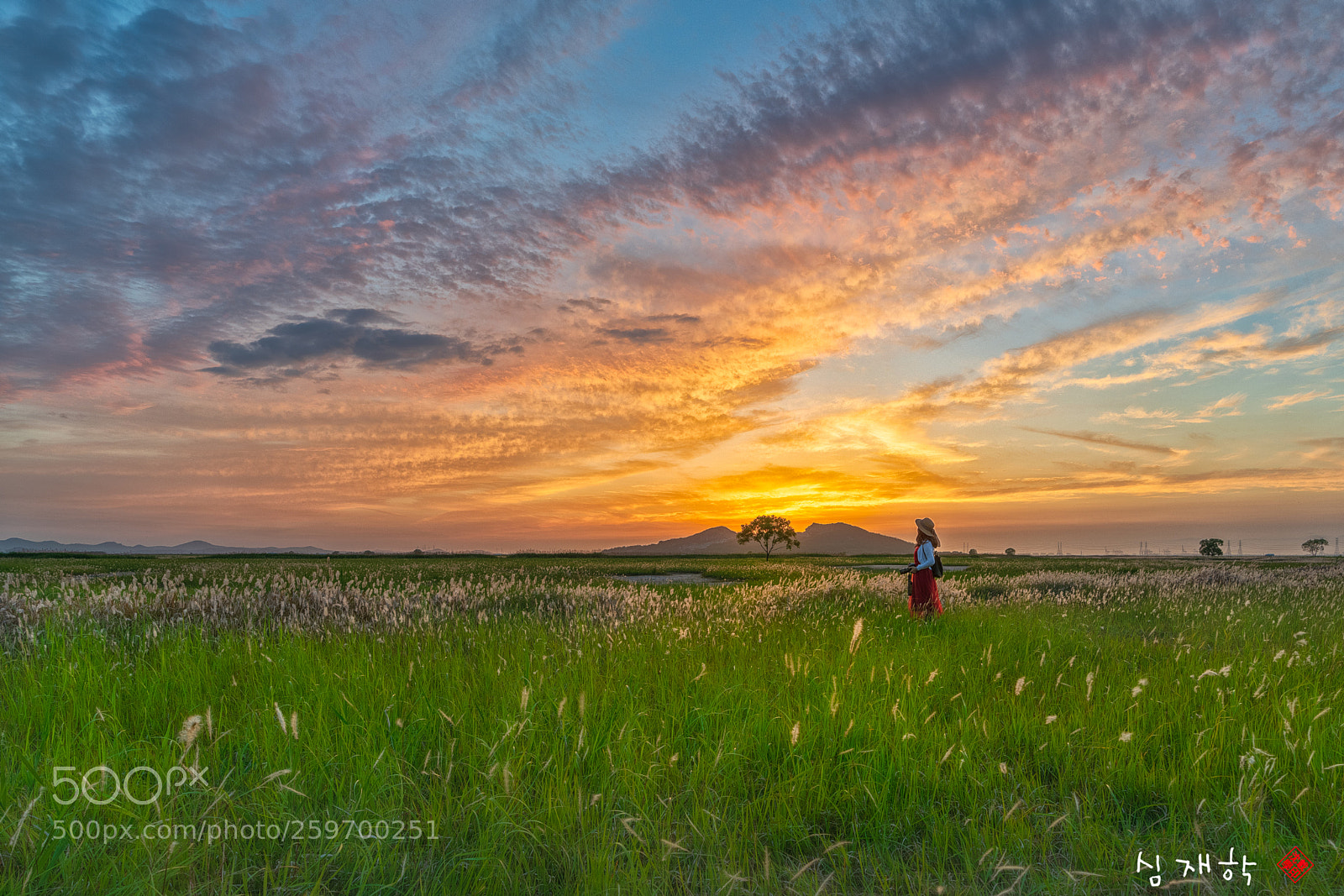 Sony a7R III sample photo. A flaming sunset photography