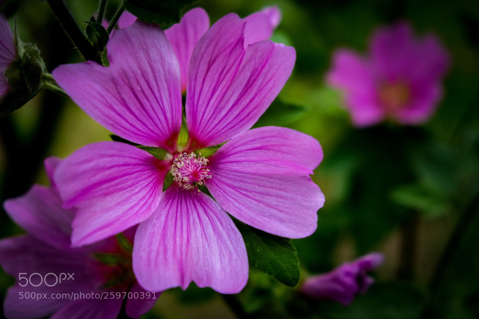 Fujifilm X-T20 sample photo. Untitled photography