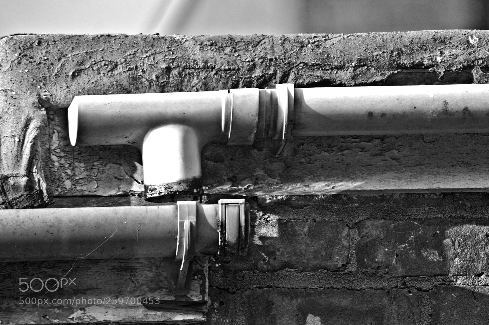 Nikon D300 sample photo. Gutted photography