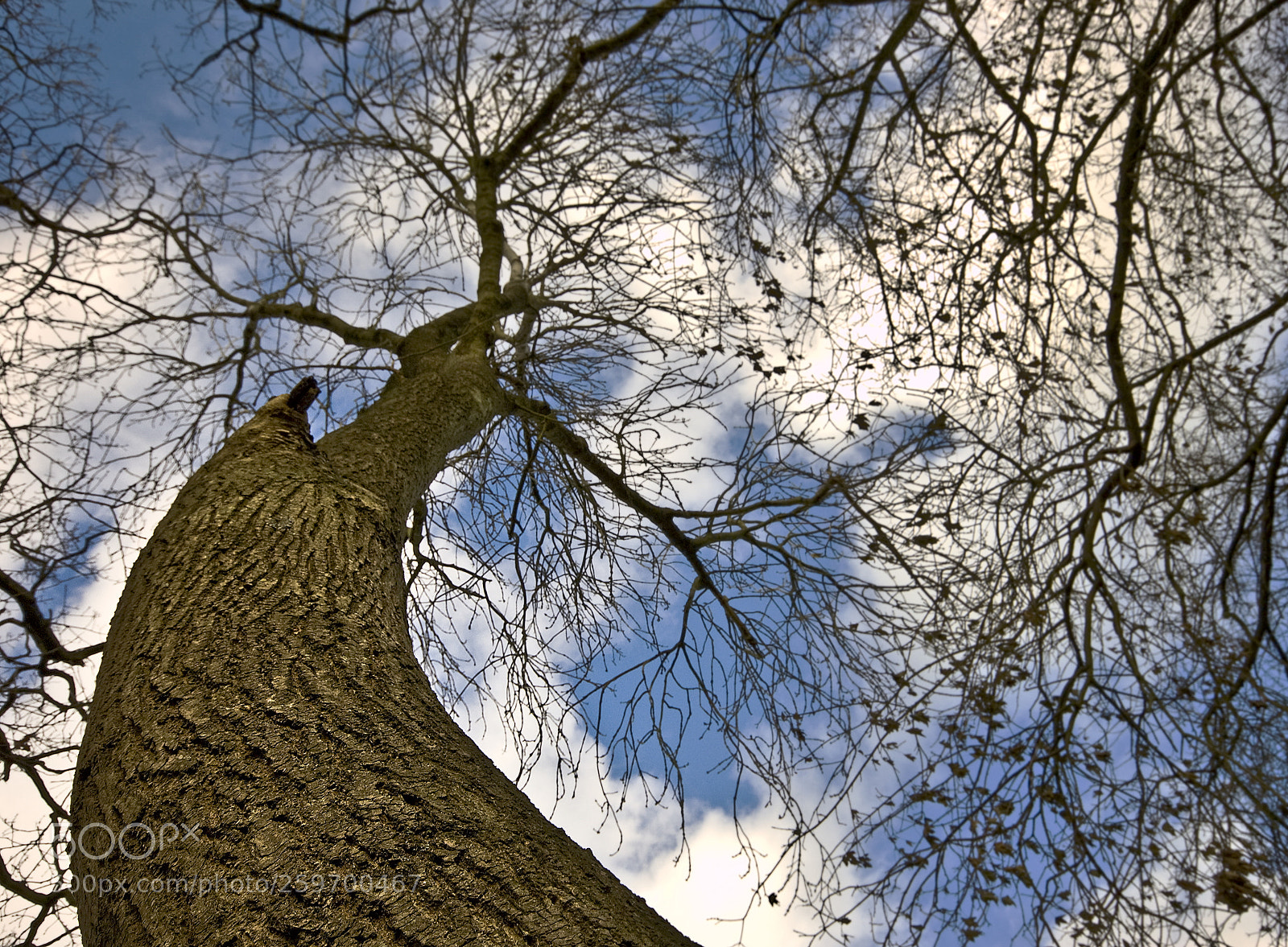 Nikon D50 sample photo. High up there photography