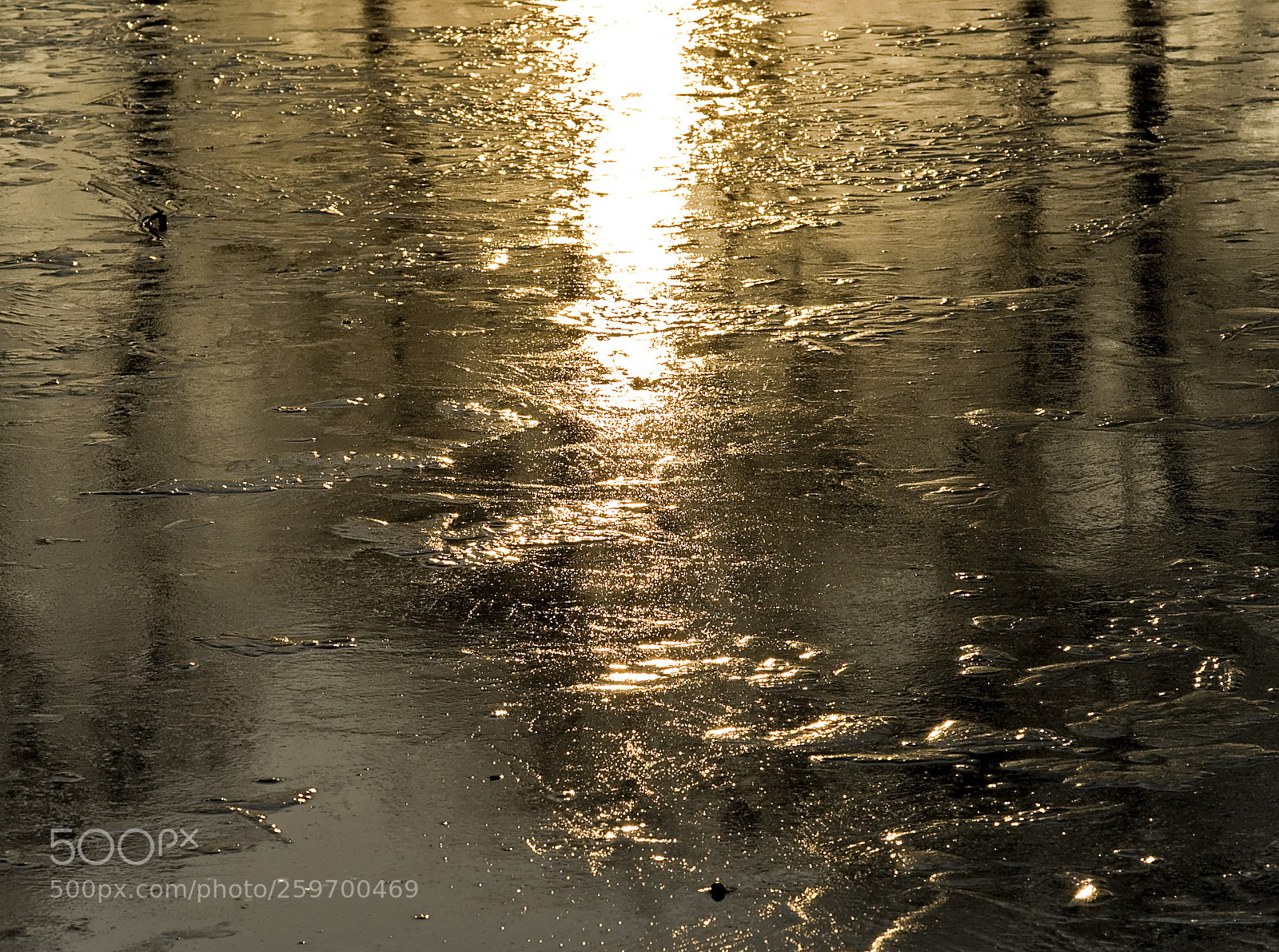 Nikon D50 sample photo. Ice pond photography