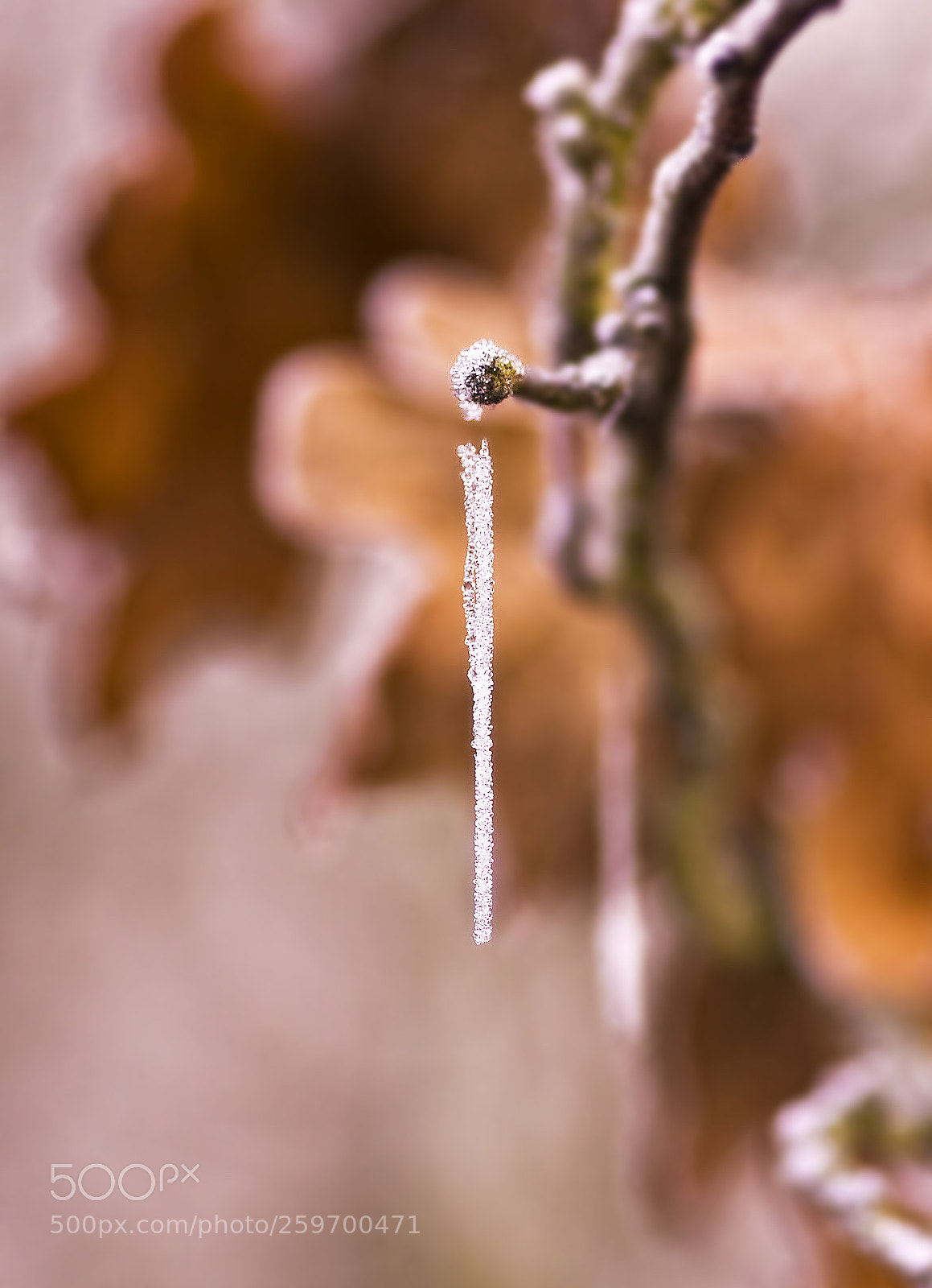 Nikon D50 sample photo. Ice drip photography
