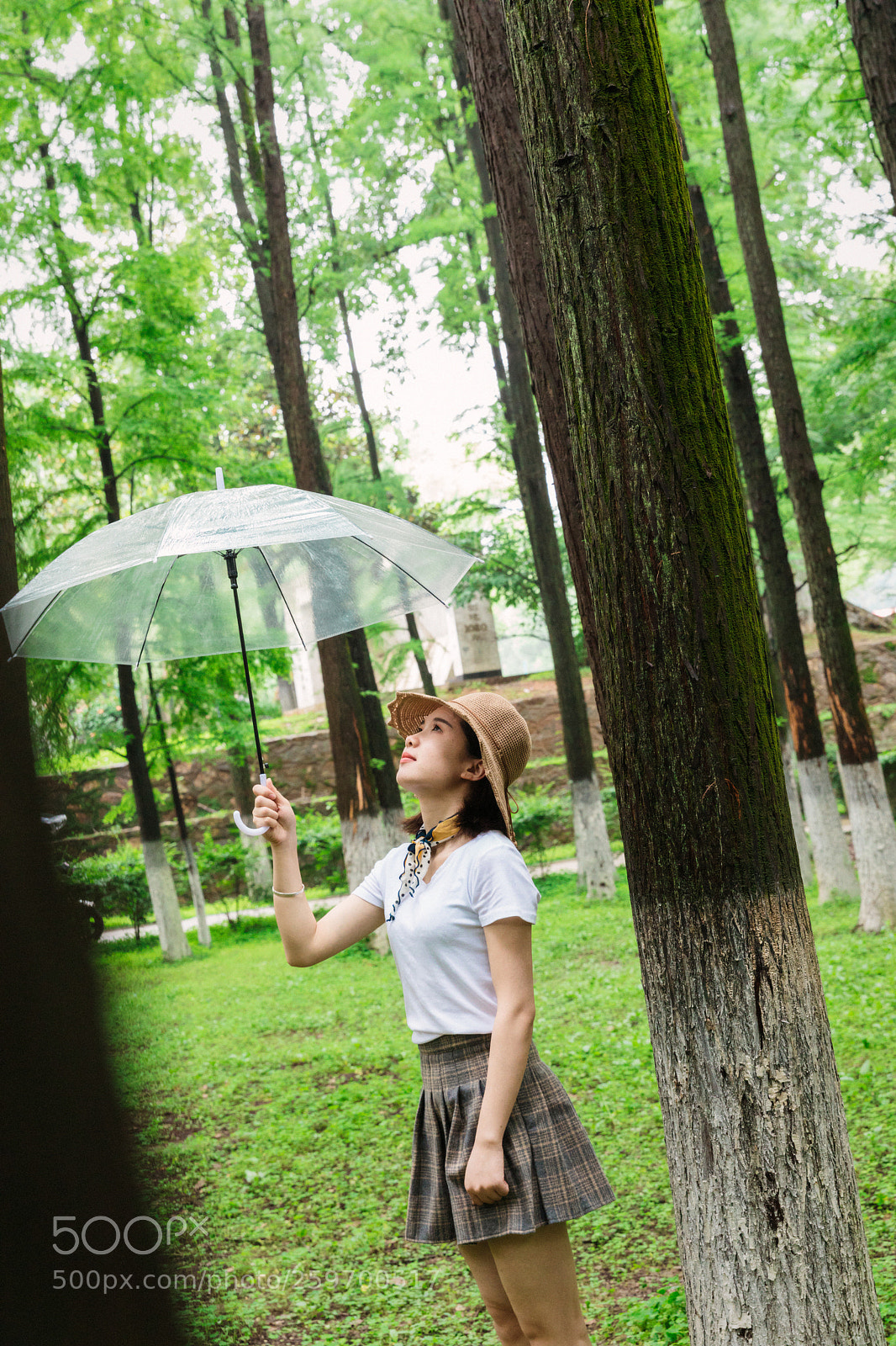 Canon EOS 5D Mark IV sample photo. Exposure photography