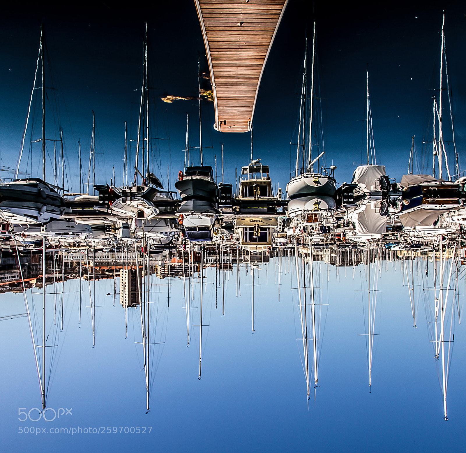 Canon EOS 7D sample photo. Upside down photography