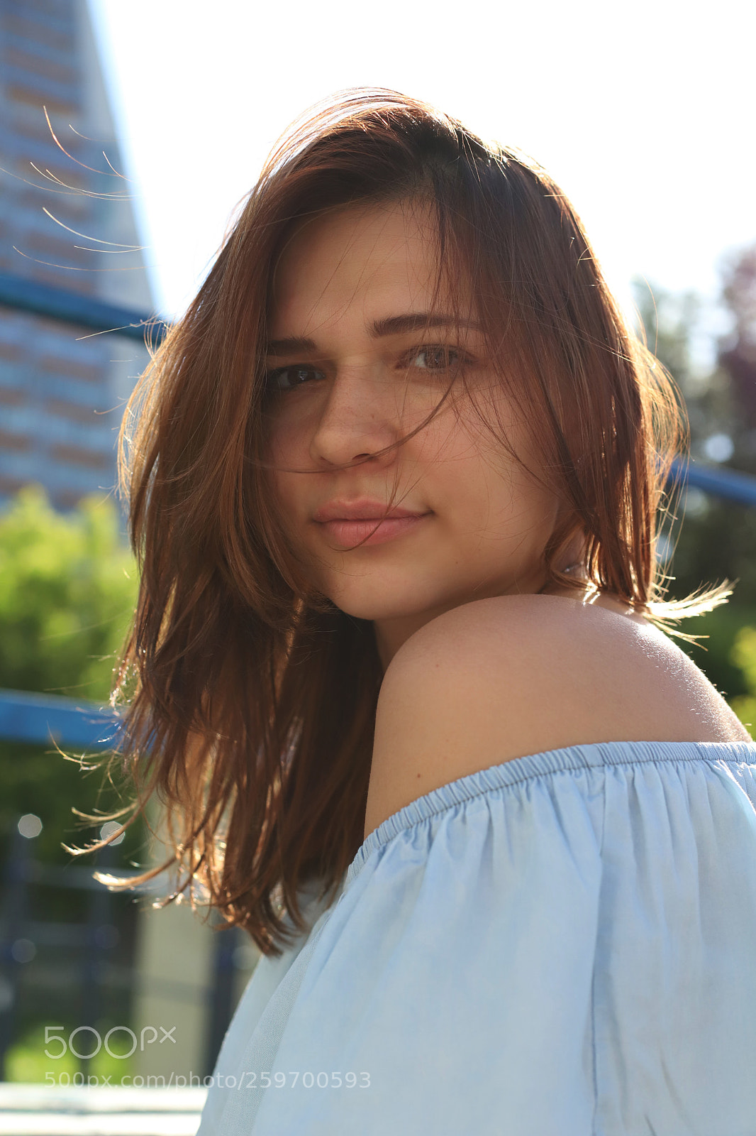 Canon EOS 6D Mark II sample photo. Sunshine photography