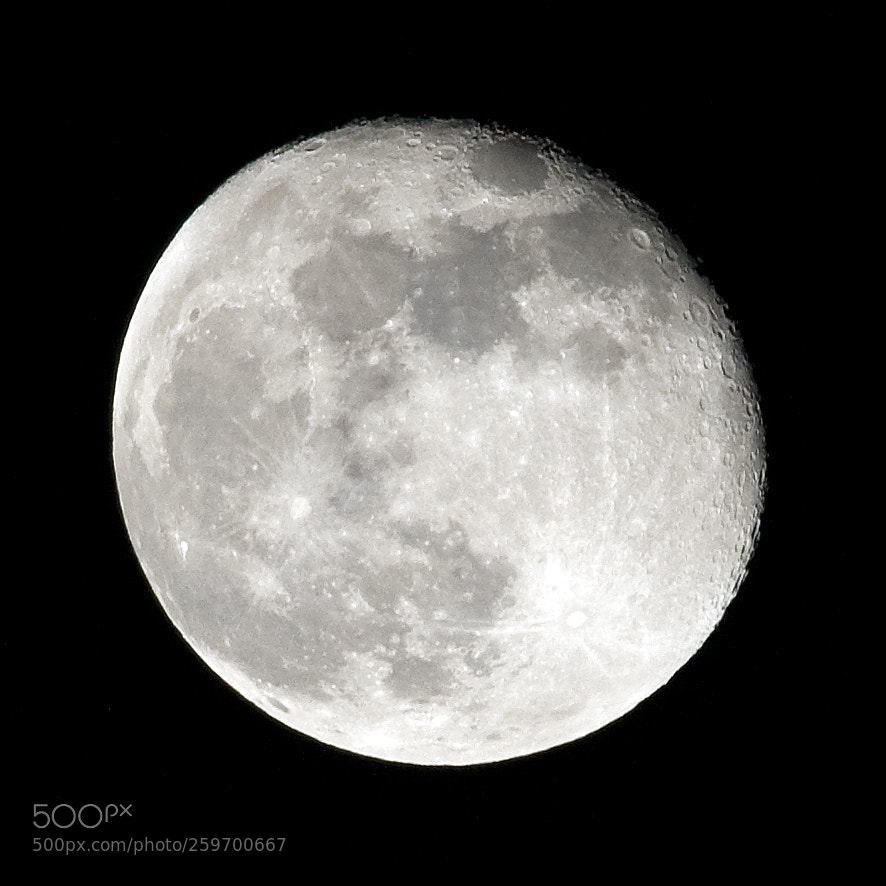 Nikon D300 sample photo. Moon photography