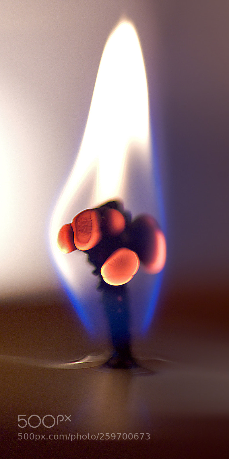 Nikon D50 sample photo. Mushroom candle photography