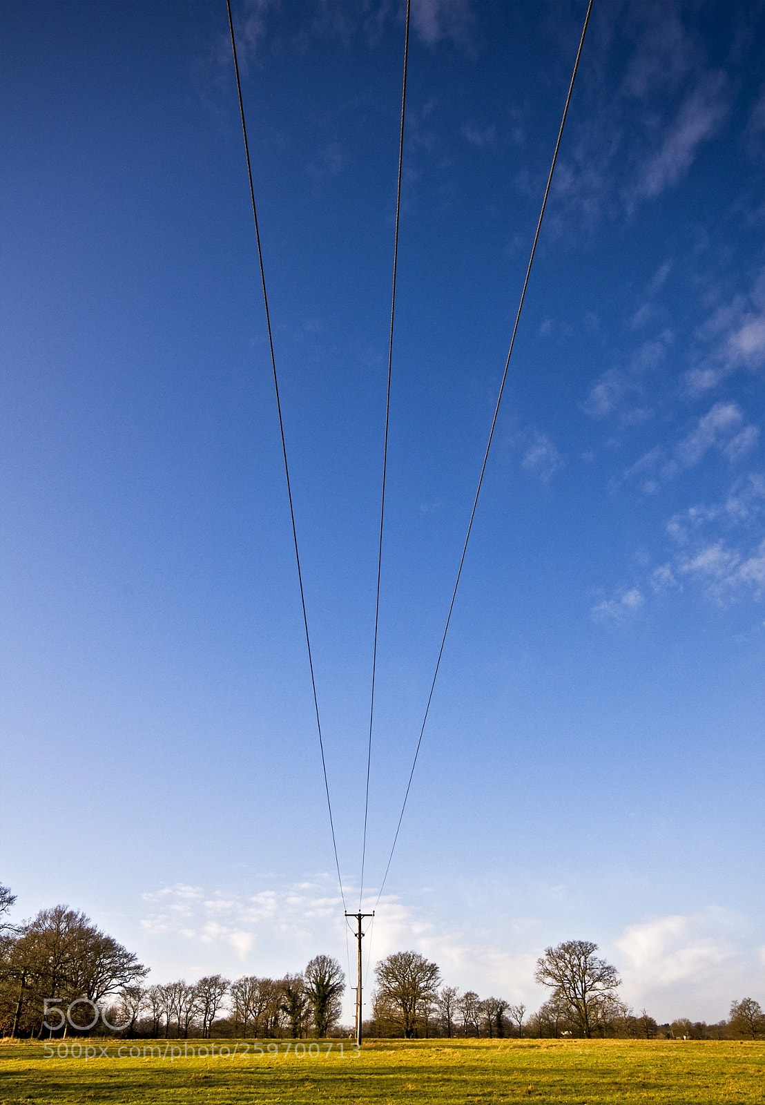 Nikon D300 sample photo. Power lines photography