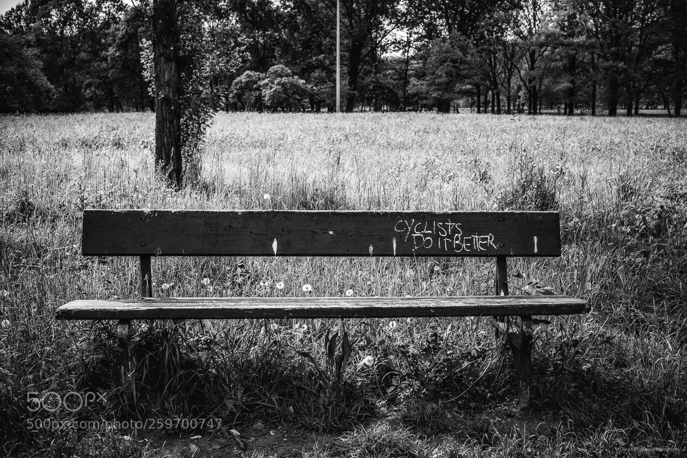 Fujifilm X-T20 sample photo. Untitled photography