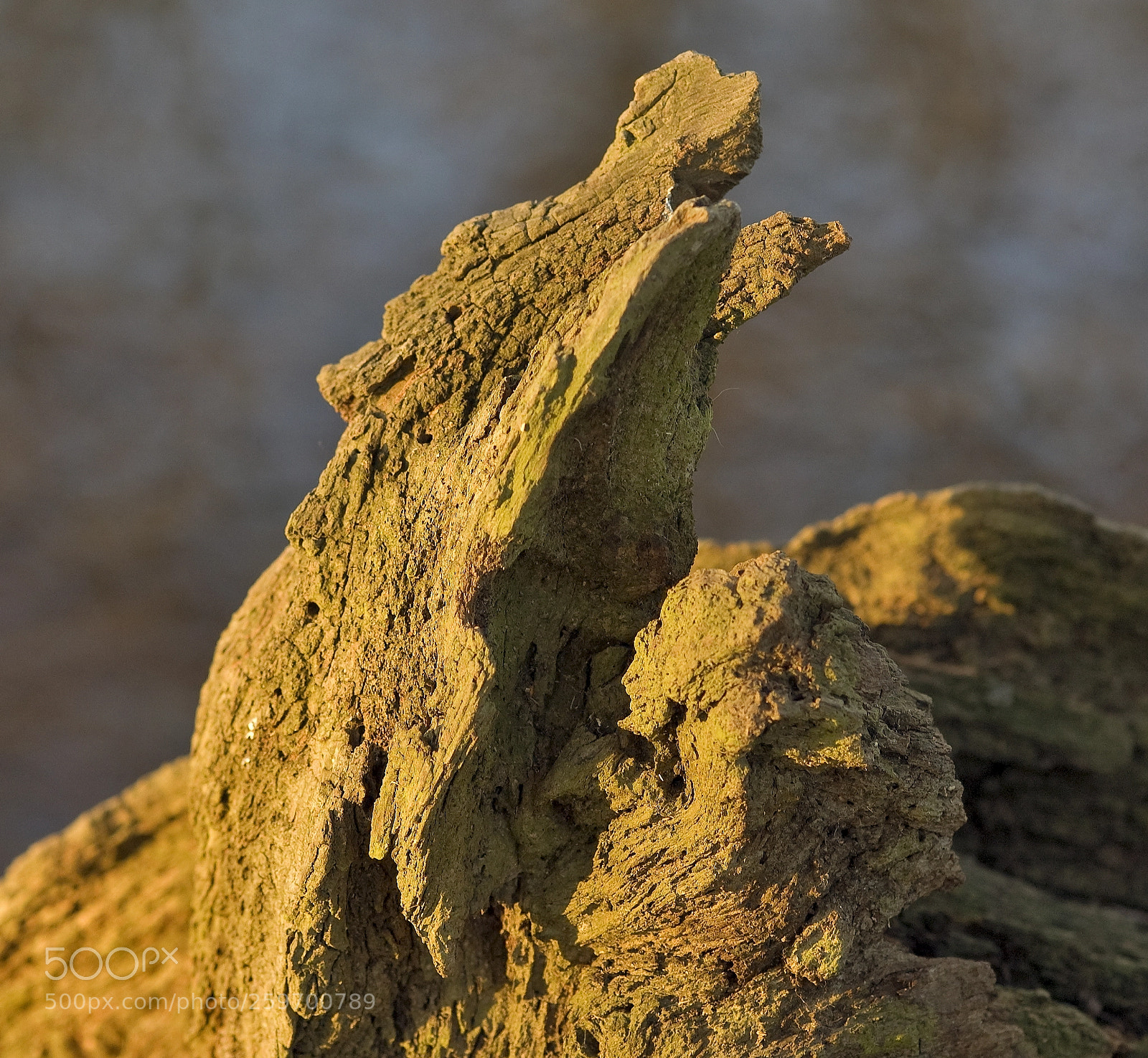 Nikon D50 sample photo. Rock photography