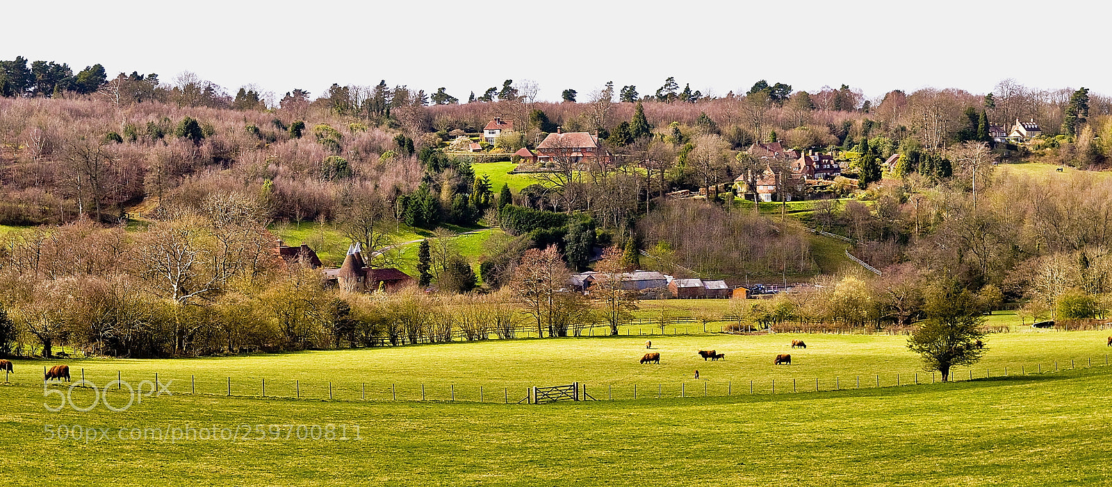 Nikon D300 sample photo. Scenic photography