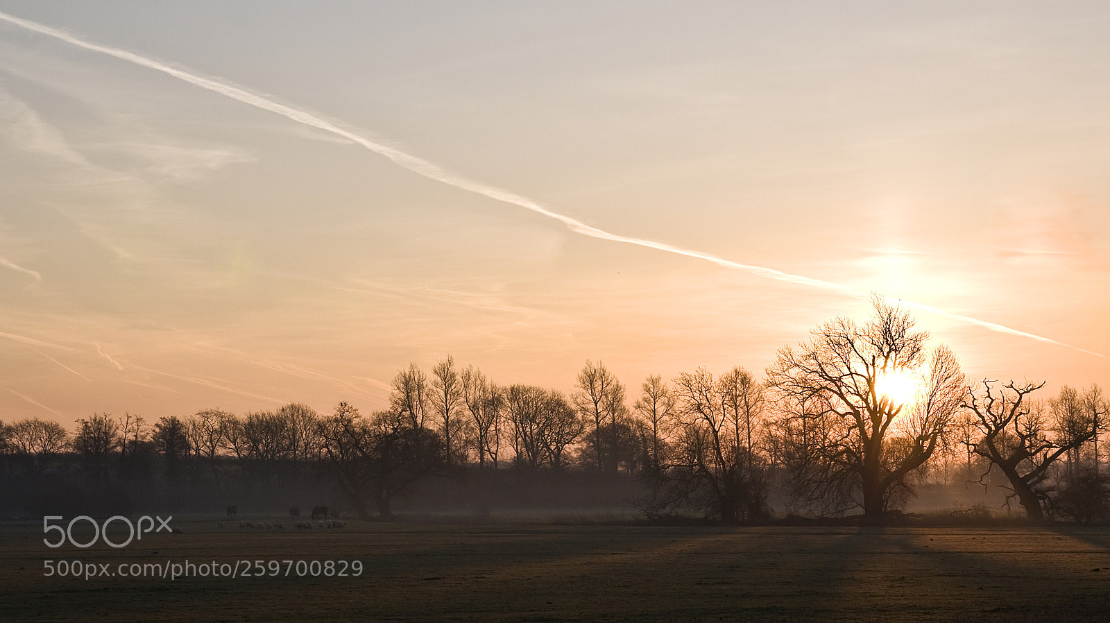 Nikon D300 sample photo. Skinners farm sunrise photography
