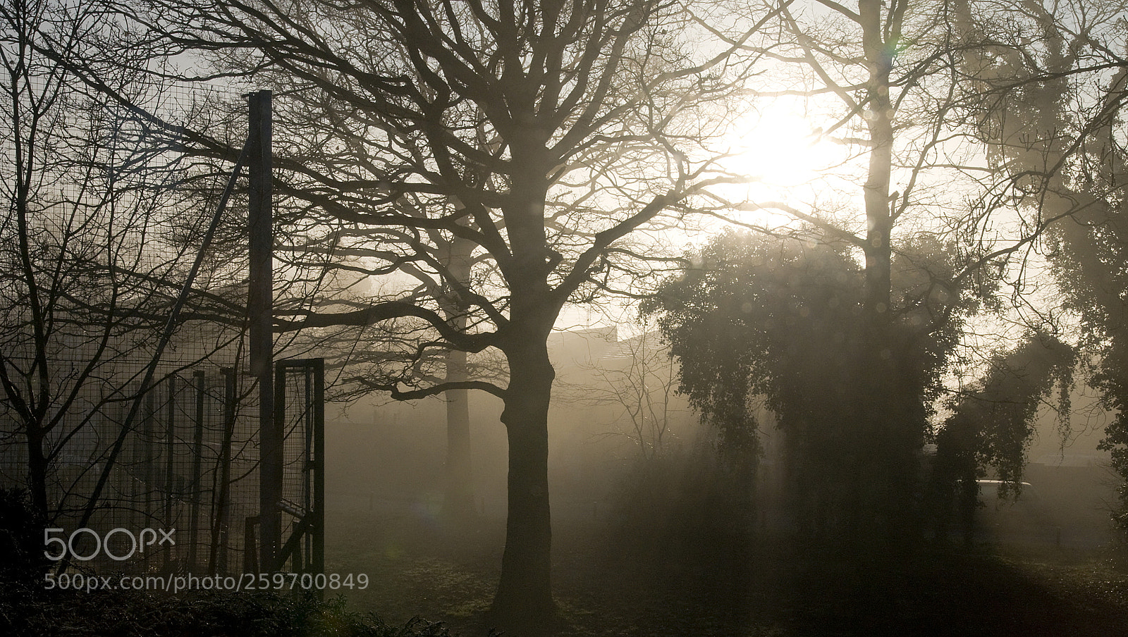Nikon D300 sample photo. Smog photography