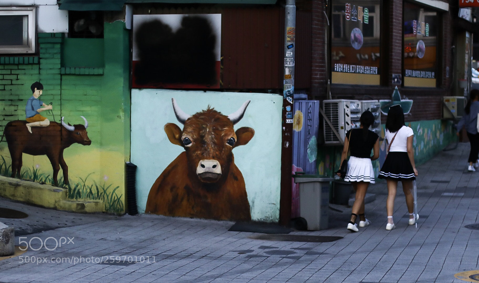 Canon EOS 80D sample photo. Untitled photography
