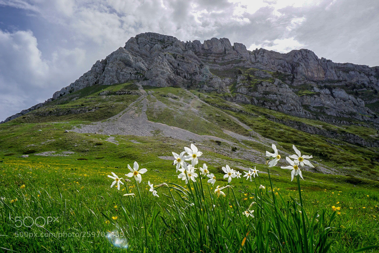 Sony a6000 sample photo. La grande sure en photography