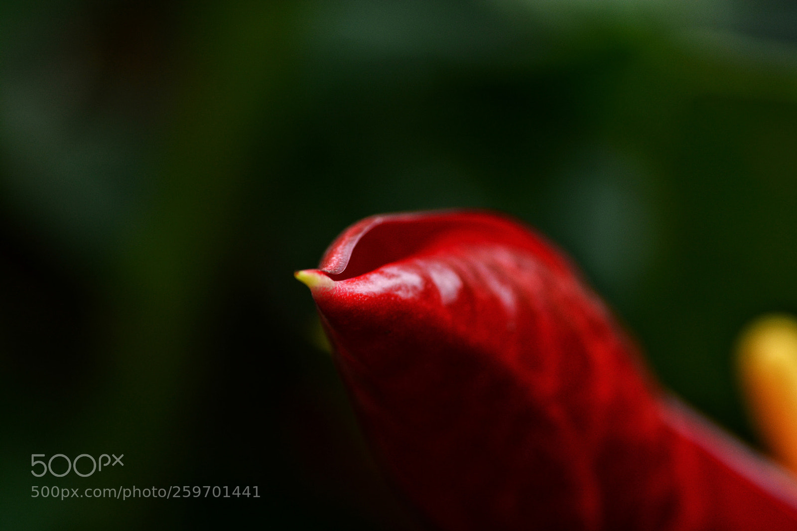 Nikon D7100 sample photo. Untitled photography