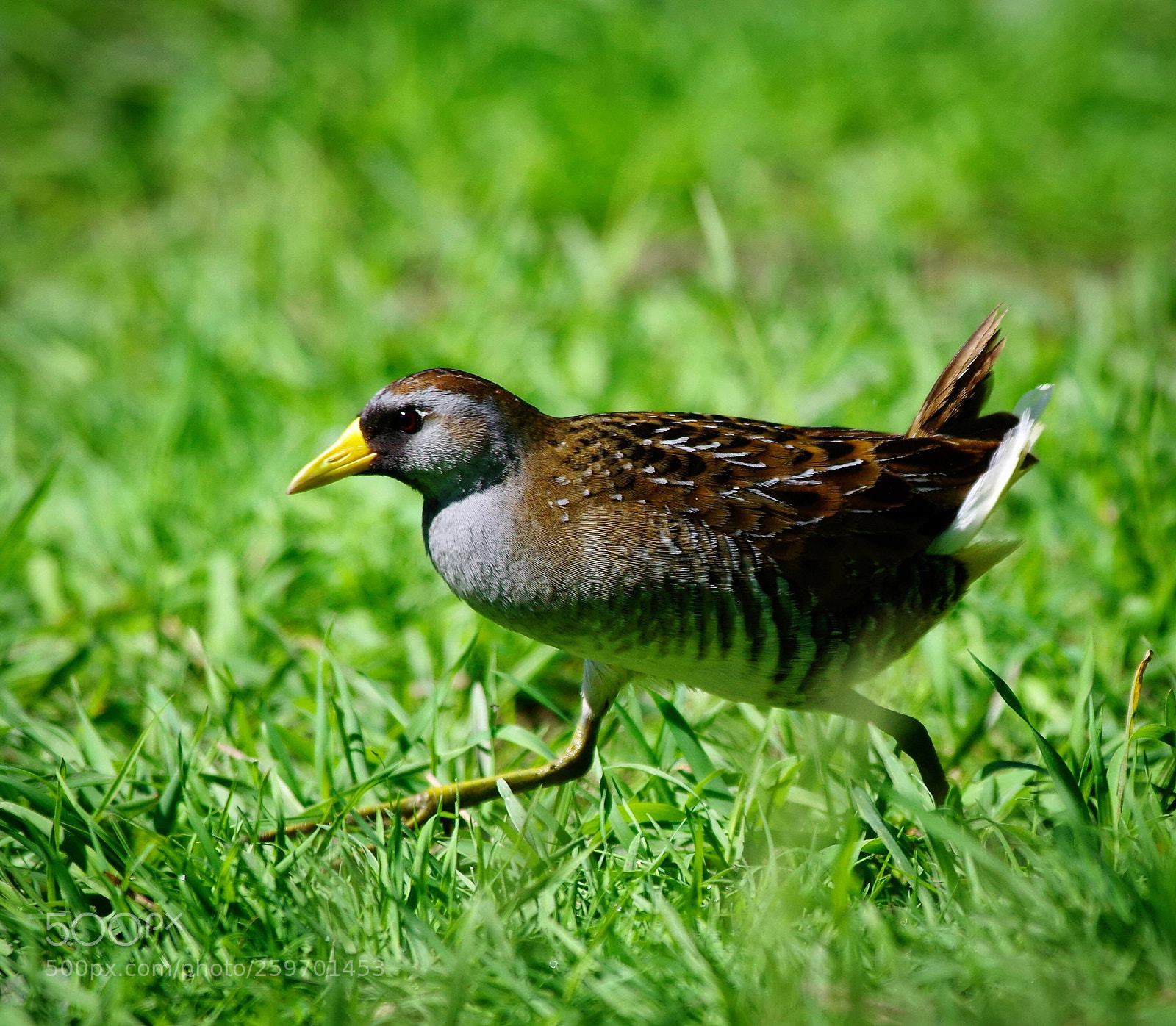 Pentax K-3 sample photo. Untitled photography