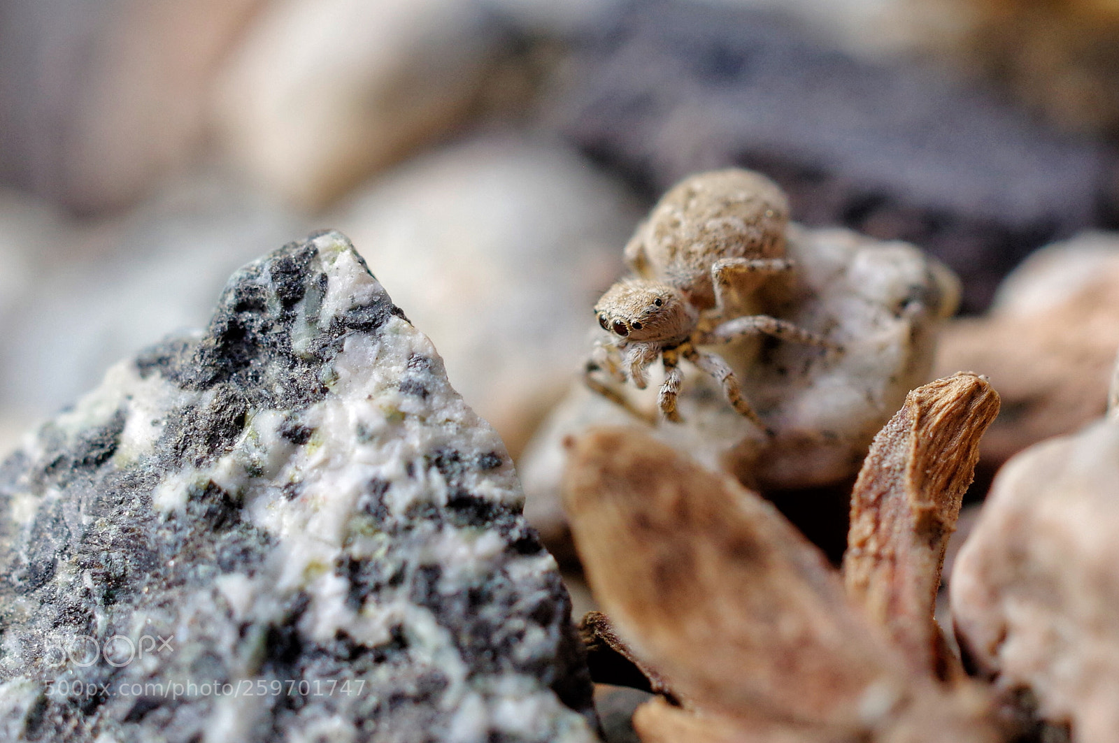 Pentax K-3 sample photo. Untitled photography