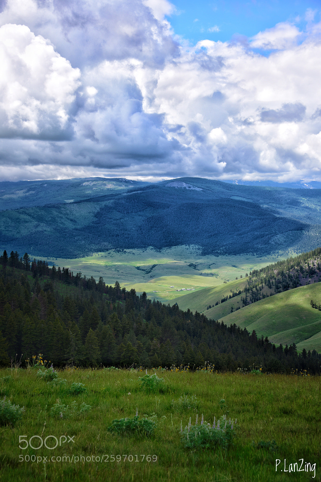 Nikon D810 sample photo. Untitled photography